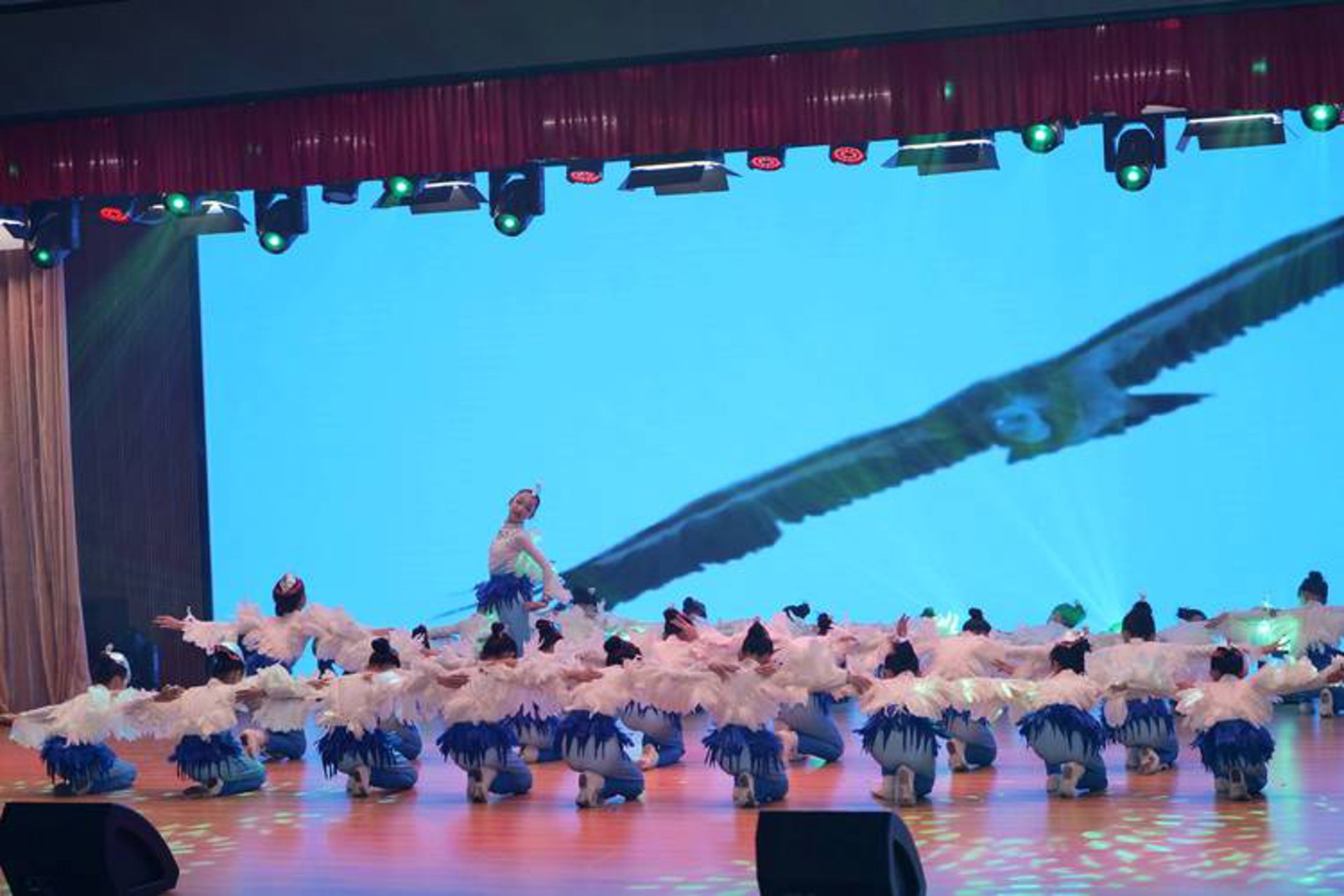 帝舞纪舞蹈